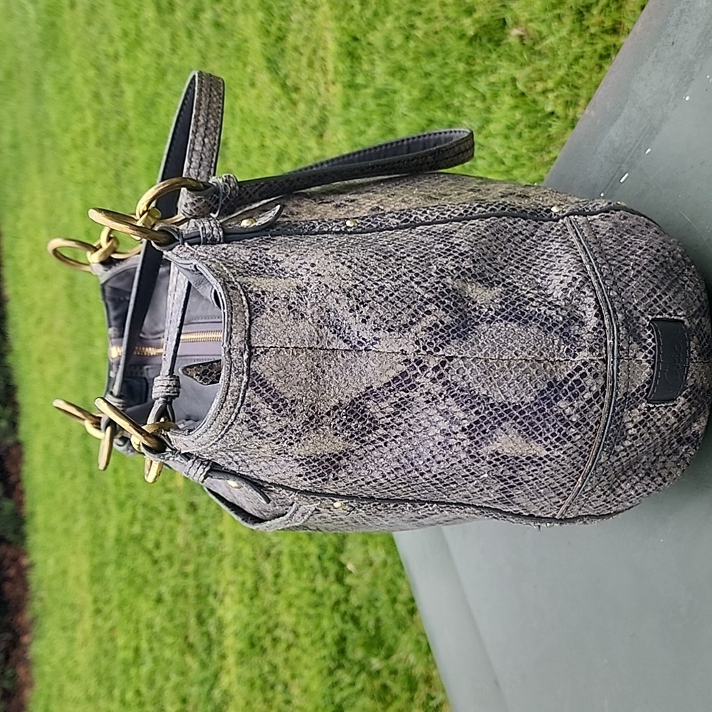 Coach Light Grey/Beige Python Embossed Leather Sh… - image 4
